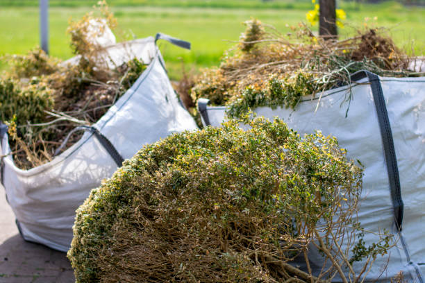 Best Hoarding Cleanup  in Juneau, AK